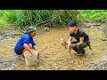 The Elderly Single Woman And Trieu Khang Catch Stream Fish To Cook A Traditional Dish 