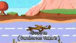 Looney Toons Road Runner The Caytoe Eats The Road Runner Fainlly