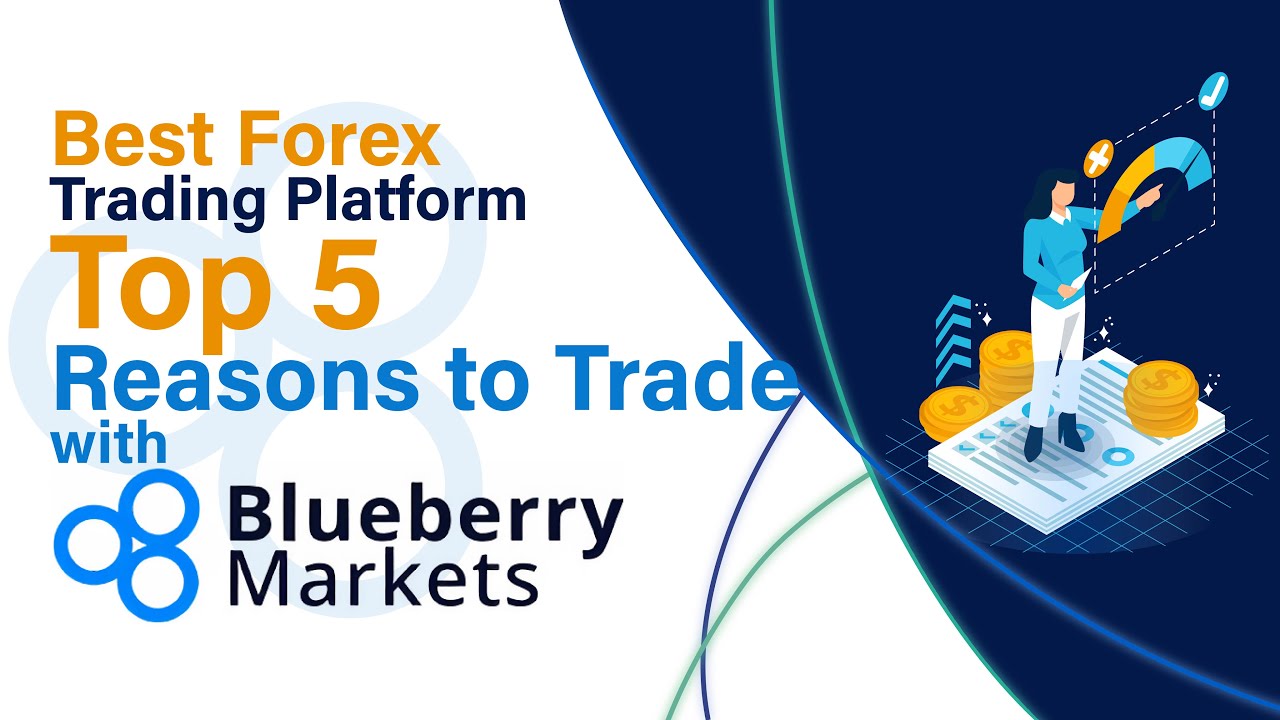 Best Forex Trading Platform | Top 5 reasons to trade with Blueberry ...