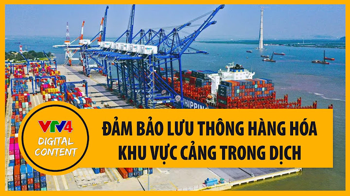 Dịch vụ kiểm điếm hàng hóa ở hải phòng năm 2024