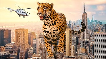 What If Earth Had Less Gravity