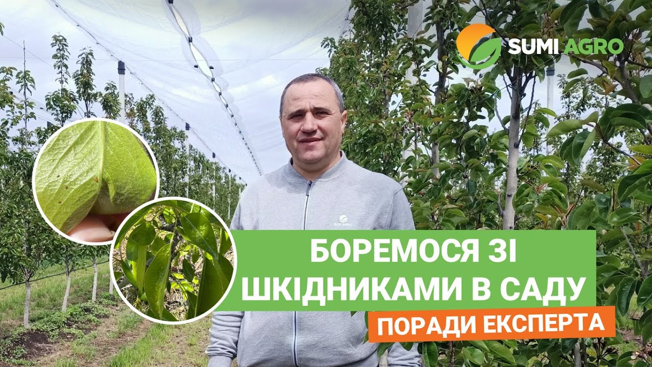 Комплексний захист саду: ефективні рішення проти шкідників! СІЛКЕР, ТЕППЕКІ