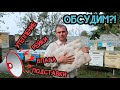 ✅[Пчеловодство] ➤ [Утепление] | ➤ [Рейки] | ➤[Подставки] | ➤[Вентиляция]