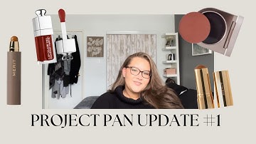 project pan update #1