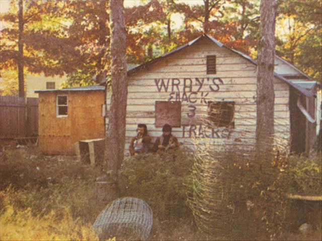 Link Wray, Mordicai Jones - Walkin' In The Arizona Sun [1971