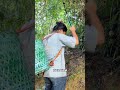 月月身体不舒服,好心姐姐上山收竹笋