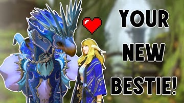 FFXIV Chocobo Companion Basisprincipes - Snelle handleiding