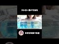 食べられるストローが良い音すぎた♡ #shorts
