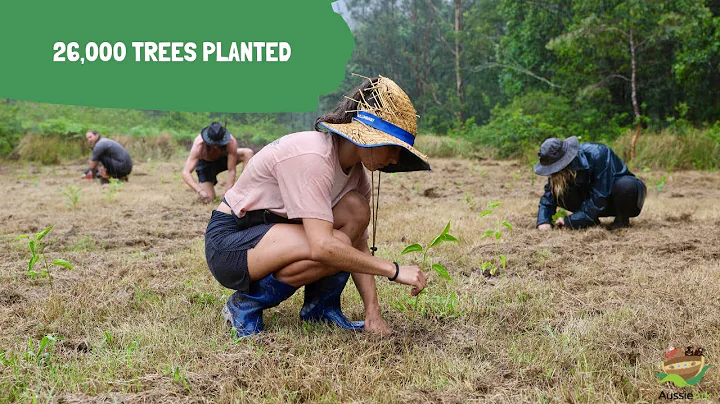 26,000 TREE'S PLANTED