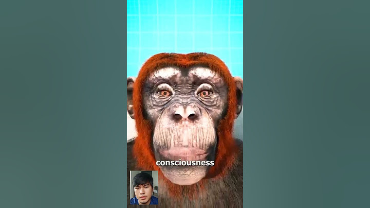 Monkey Head Transplant (explained) 🐒