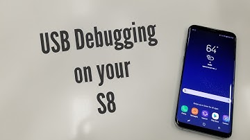 USB Debugging Mode aka Beast mode on the S8