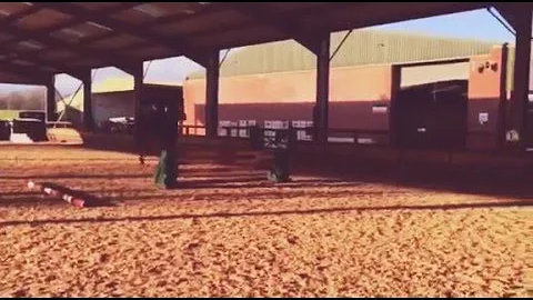 Moreton morrell jumping lesson