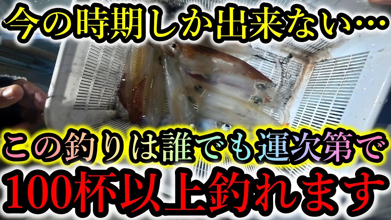 初心者でも運次第で100杯以上イカが釣れる、今の時期限定の釣りを知ってるか?【山陰・鳥取シロイカ】