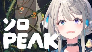 本阿弥あずさ(ほんあみあずさ)の配信のサムネイル画像