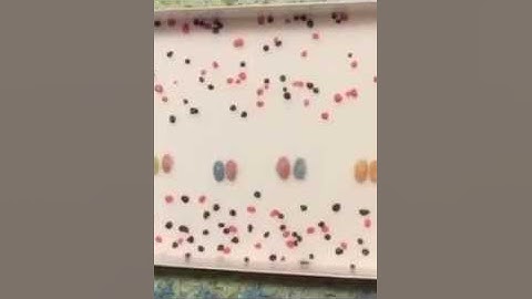 The propagation of an action potential down an axon of a ne