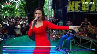TOP TOPAN EVIS RENATA - NEVADA PLAJAN KEROK KHITAN MAULANA KEL BPK. KHASAM & IBU ZUMROTUN