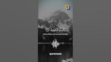 سورة الحجر الاية 98 - Surat Al-Hijr و لقد نعلم انك يضيق صدرك بما يقولون #ياسر_الدوسري #fyp #quran