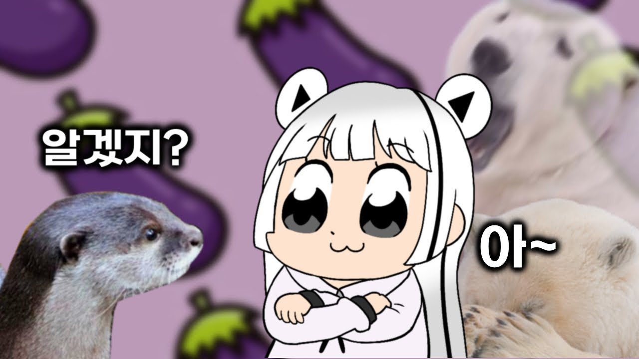 [수달유치원] 곰파야 이해했지?