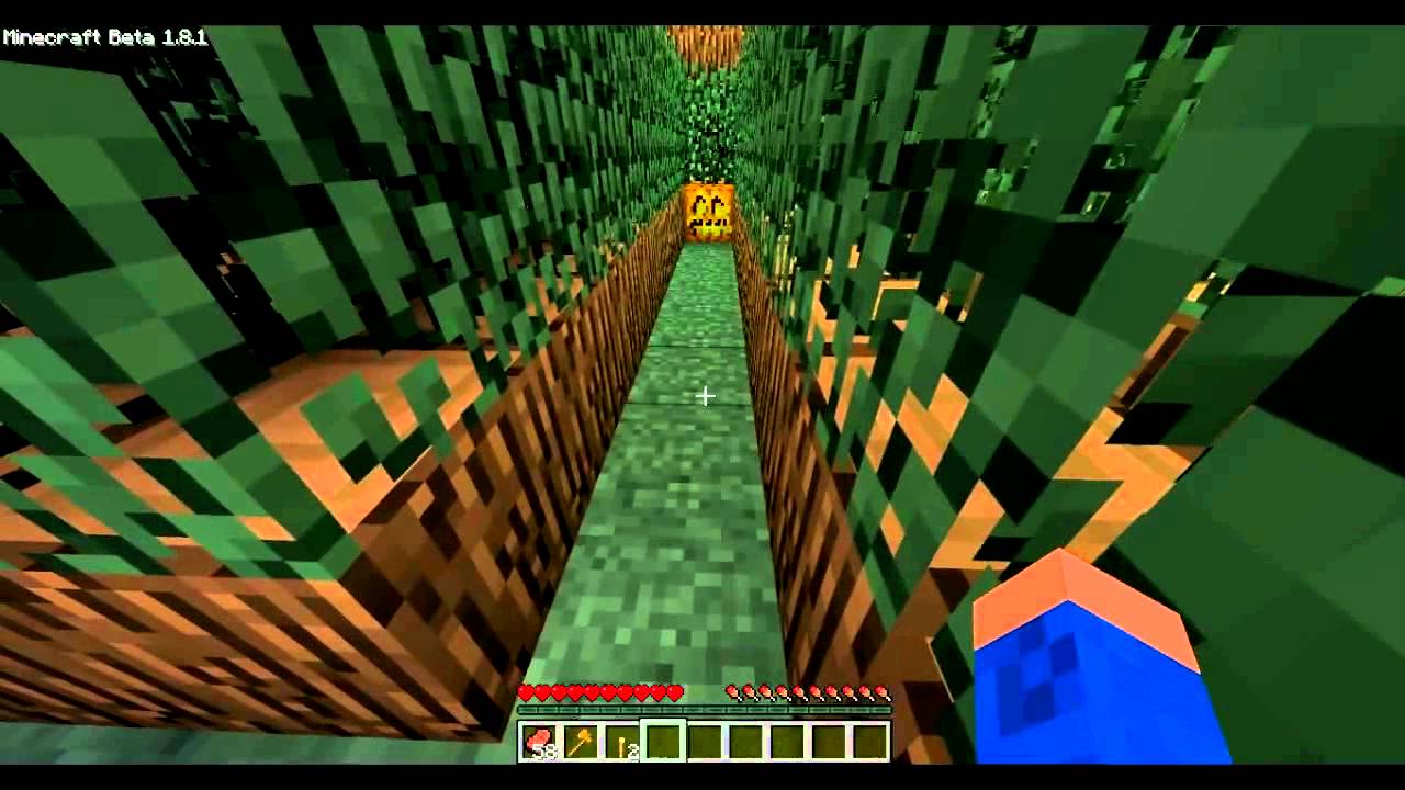 Mazecraft - ntyGuns maze