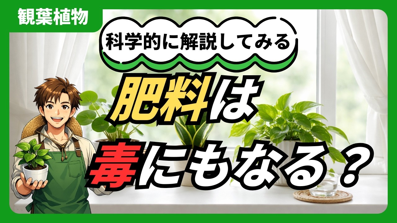 【実は】肥料は「毒」にもなる #観葉植物 #植物 #植物の育て方 #園芸 #家庭菜園 #ガーデニング #肥料
