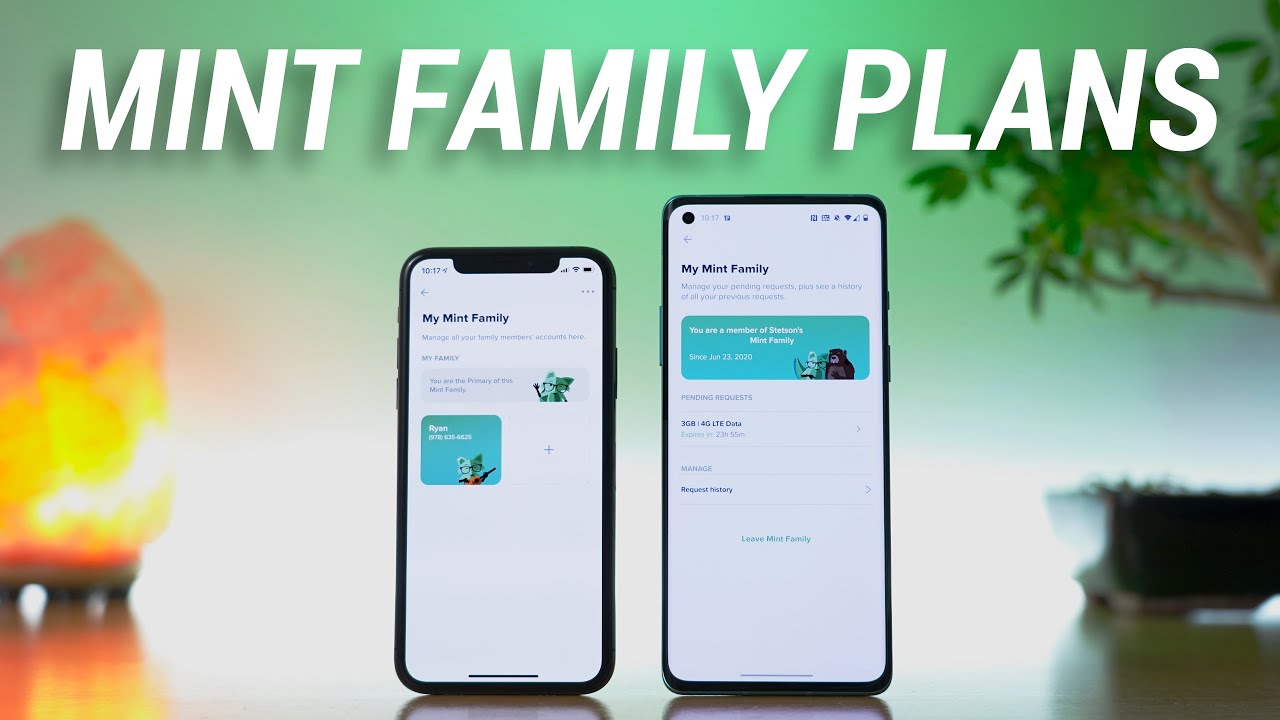 Mint Mobile Review: How I saved $45 per month for the same coverage -  Swappa Blog