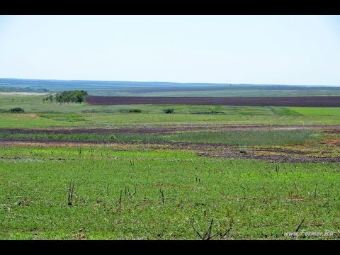 Проблемное поле. Технология