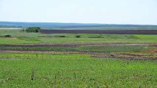 Видео Проблемное поле. Технология No-Till. КФХ "Потапов". (автор: Главный фермерский портал ФЕРМЕР.RU)
