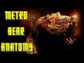 Metro Last Light and Exodus Lore | The She Bear Explained | Biology, Anatomy, Discussion and Size