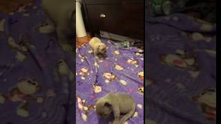 IMG 3044 IMG 3044