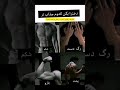 دخترا بگن Live کلیک ویدیو Love لایک طنز ایران افقانستان ترکیه Shorts وایرال Funny Viral 