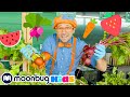 Blippi Learns Healthy Eating For Kids At Tanaka Farm | Blippi Visits | Educational Videos For Kids