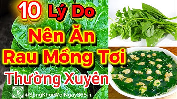 Ăn Rau Mồng Tơi Có Lợi Ích Gì Cho Sức Khoẻ? #songkhoe #dinhduong #health #suckhoe