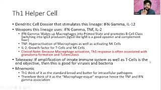 Functions of Mature T-Cells, Immunology Lecture 6