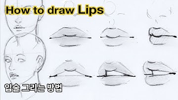 How to draw Lips from various angles / Useful Tips!! / Tutorials
