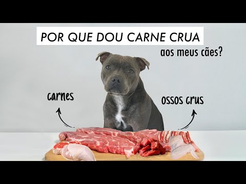 Vídeo: Uma Dieta De Carne Crua é Adequada Para Seu Cão?