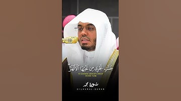 والذين كفروا يتمتعون ويأكلون | الشيخ ياسر الدوسري | تلاوة خاشعة