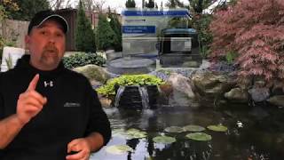 Aerator or Deicer? Which one is best for deicing your fish pond? |Long Valley, NJ|