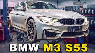 Fixing Common BMW S55 Oil Leaks | F80 M3 Complete Engine Service & Restoration