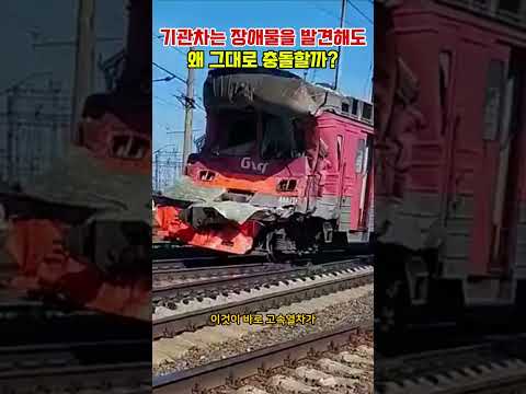 고속열차 앞에 자동차가 나타나면 어떻게 될까? #지식쇼츠 #팩트체크 #유튜브쇼츠