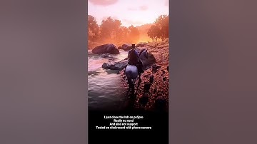RDR2 HDR SETTINGS | close HDR on ps5pro | Best Solution|