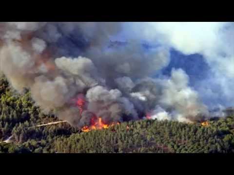 Automatic Forest Fire Monitoring & Measurement