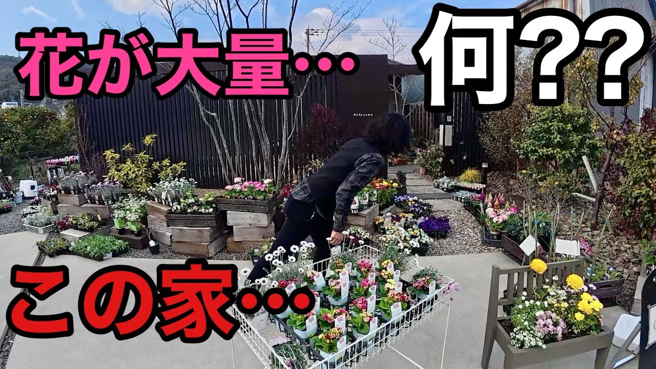 とんでもない家を和歌山県で発見しました【園芸超人カーメン君】【匠ガーデン】