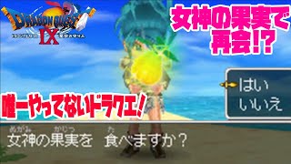 #14【ドラクエ９】 サンディと再会！？クリア後！初見プレイ！唯一未プレイのドラクエやっていく！【ドラゴンクエスト９】
