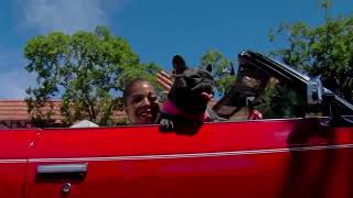2022 Veterans Day Parade