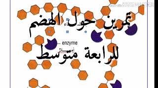 4#متوسط  فروض واختبارات العلوم الطبيعية#الفرض الثاني# مراجعة bem