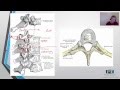 Cervical and Thoracic Mobilizations