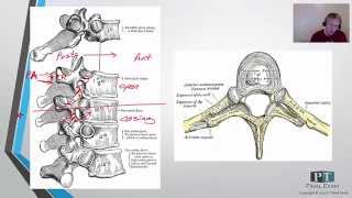 Cervical and Thoracic Mobilizations on the NPTE PT Final Exam #npte #npteprep