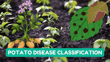 Project 37 : Potato Disease Classification Using Convolutional Neural Network