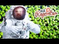 AAR - Space Food