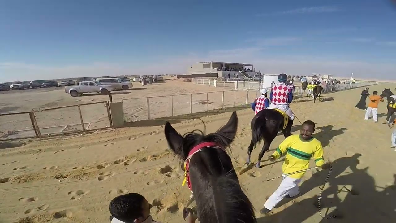 مكسب الحصان زيزوم النشاما من ميدان القريات خالد الرويشد 9/ 5 / 1444ه‍